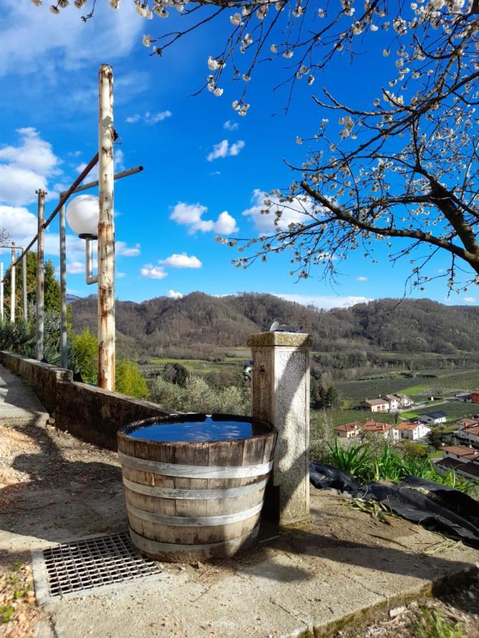 Bed and Breakfast L'Oro Di Nonna Adele Nimis Zewnętrze zdjęcie
