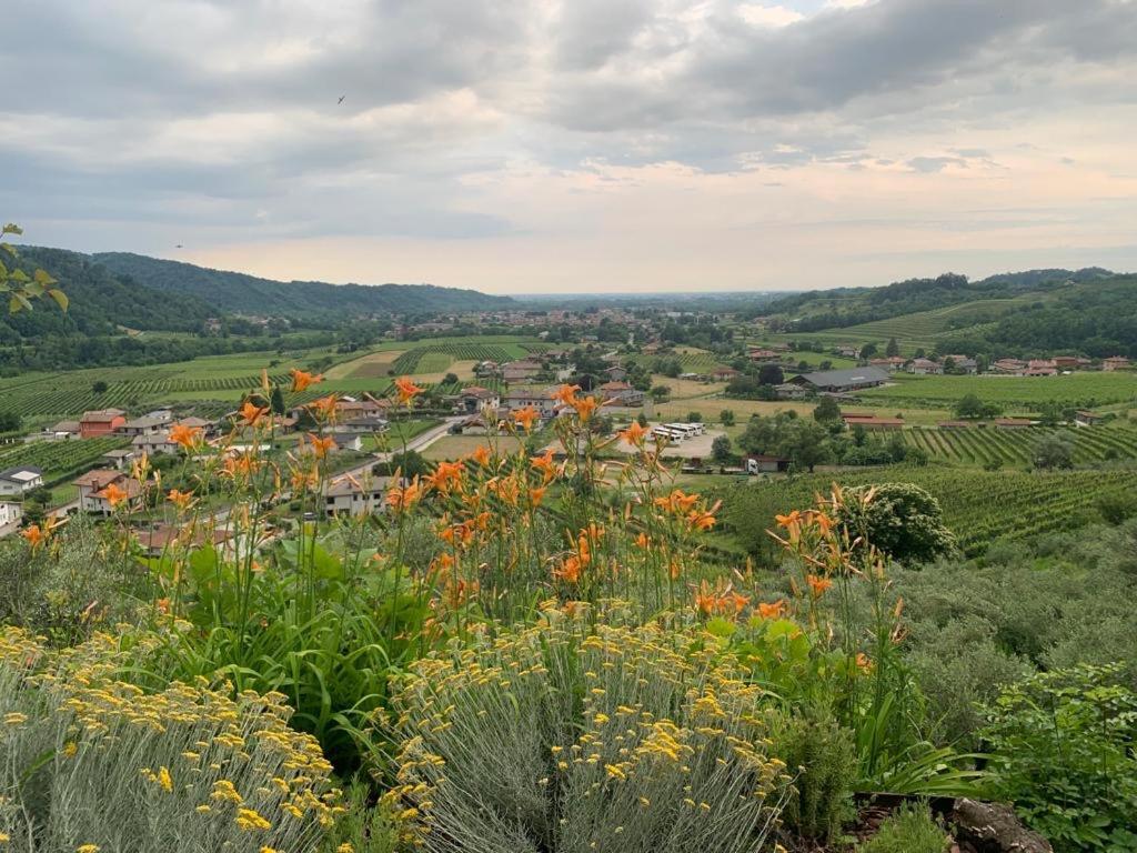 Bed and Breakfast L'Oro Di Nonna Adele Nimis Zewnętrze zdjęcie